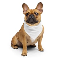 Image 2 of Green Grier logo print bandana
