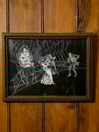 Image 1 of 1800s Gustave Dore Spiders - with real preserved webs -B