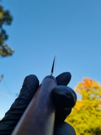 Image 3 of stainless + banksia petty 