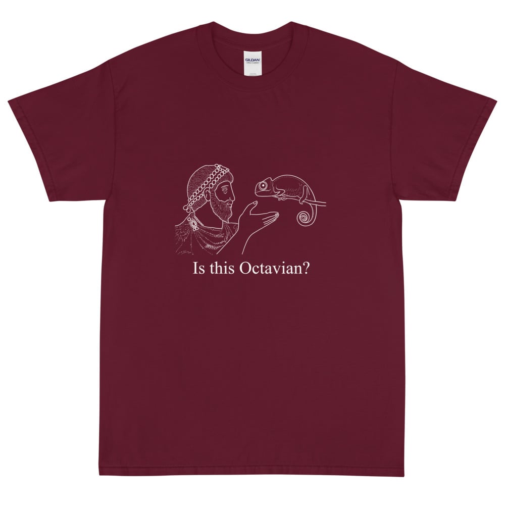 Image of Is This Octavian? Short Sleeve T-Shirt - White Details