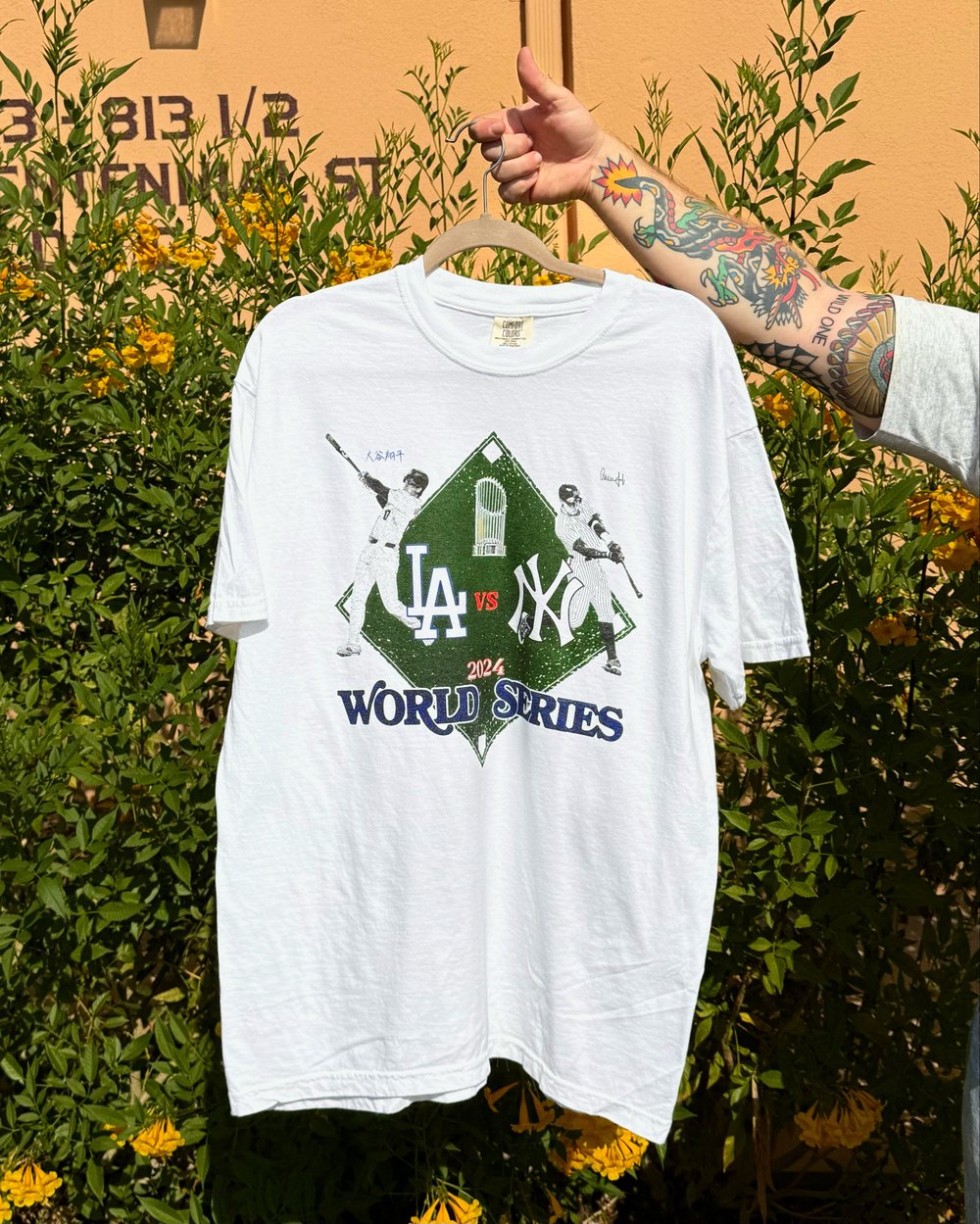 WS 24