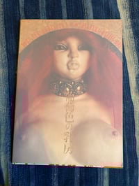 Image 1 of Grape Coloured Breasts, The Dolls of Nori Doi, 1986.