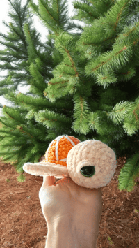 Image 1 of Fruit Turtles 