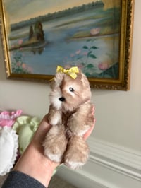 Image 2 of Fluffy Seal