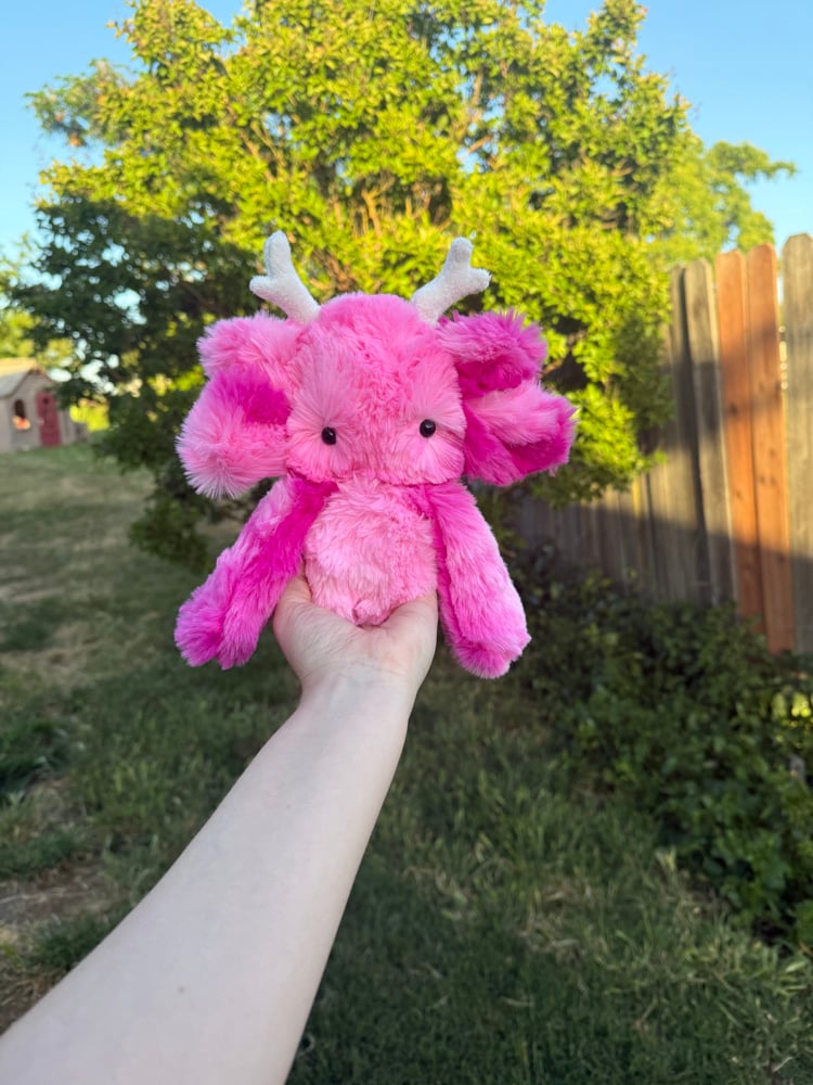 Image of nursery pink dweller