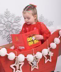 Image 9 of Christmas photography sessions