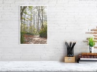 Image 2 of Vallon de Vaux