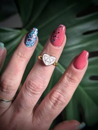 Image 6 of Contrast Glam Collection 