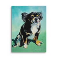 Image 2 of Springtime Pomeranian