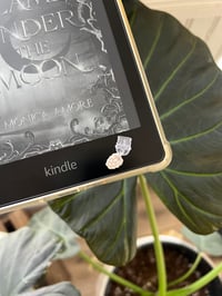 Image 3 of Raspberry Kindle Plug