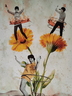 Image of Fiesta del polen.