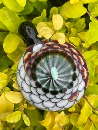 Image 1 of Yin & Yang