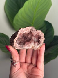 Image 1 of HQ PINK AMETHYST GEODE -ARGENTINA- L