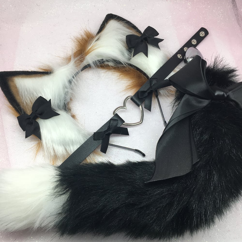 Fox pet play 🦊 set