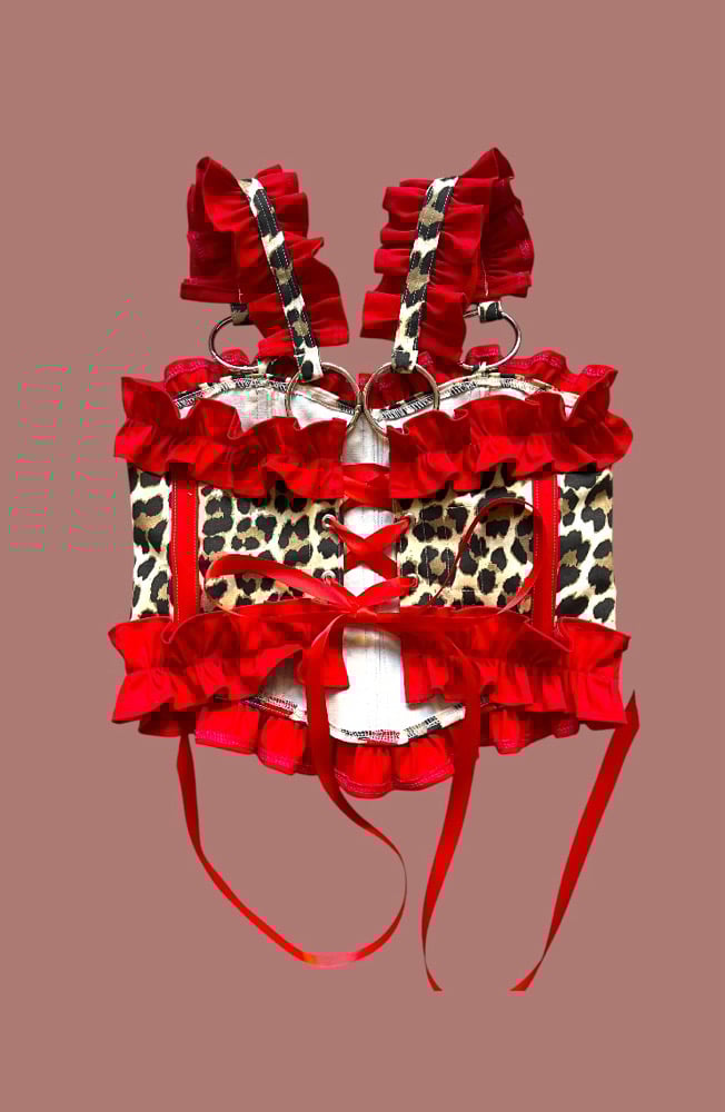 Image of Leo red corset
