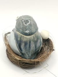 Image 4 of Pigeon 4