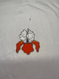 Image 3 of Orange and Clear Iris 