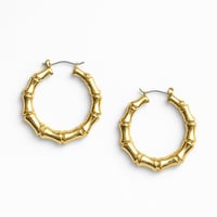 Image 1 of The Naomi Hoops