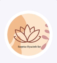 Image 1 of Surprise Hyacinth Set