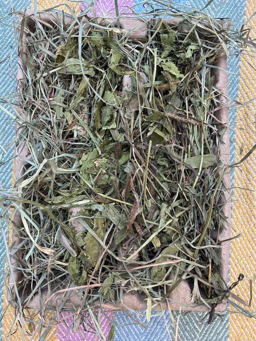 Image of Recycled deep tray filled with mixed dried forage *limited stock!*