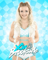 Xia Brookside Banner Replica - Flyer 