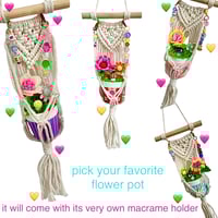 Image 2 of Mini Flower Pot & Macrame Hanger - You Pick Your Favorite 08