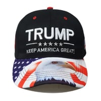 Image 5 of Trump Hat 1