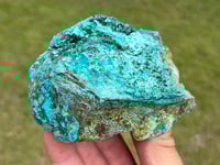 Image 6 of Atacamite Specimen #2334