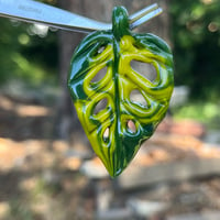 Image 1 of Variegated Swiss Cheese Monstera Leaf