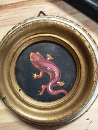 Image 1 of Toupti lezard