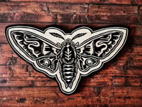 Image 1 of Hawk Moth