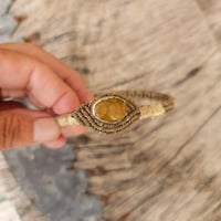 Image 1 of Autumn Jasper