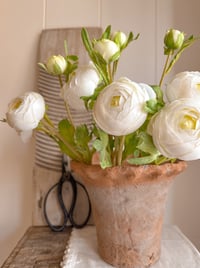 Image 2 of Soft White Luxury Ranunculus Bouquet ( 6 included )