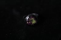 Image 3 of Dead good oregano flower ring