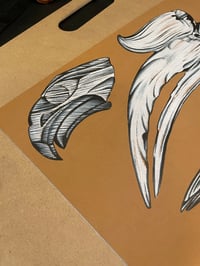 Image 5 of museum drawer large flash sheet