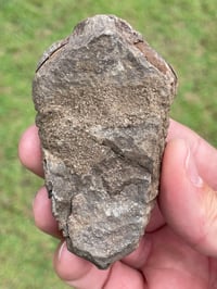 Image 6 of Trilobite Fossil #1482