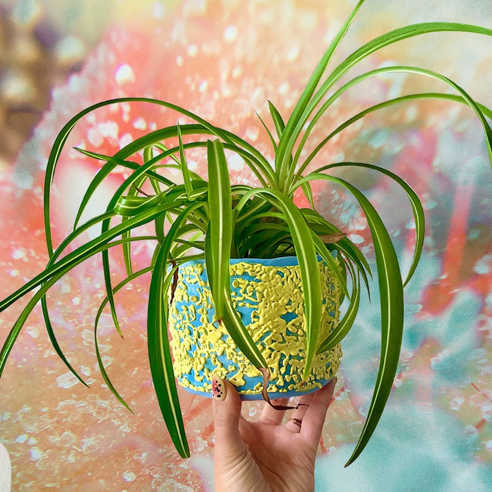 Image of Solaris Plant Pot #3