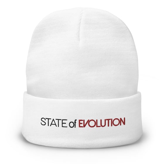 Image of State of Evolution-Embroidered Beanie