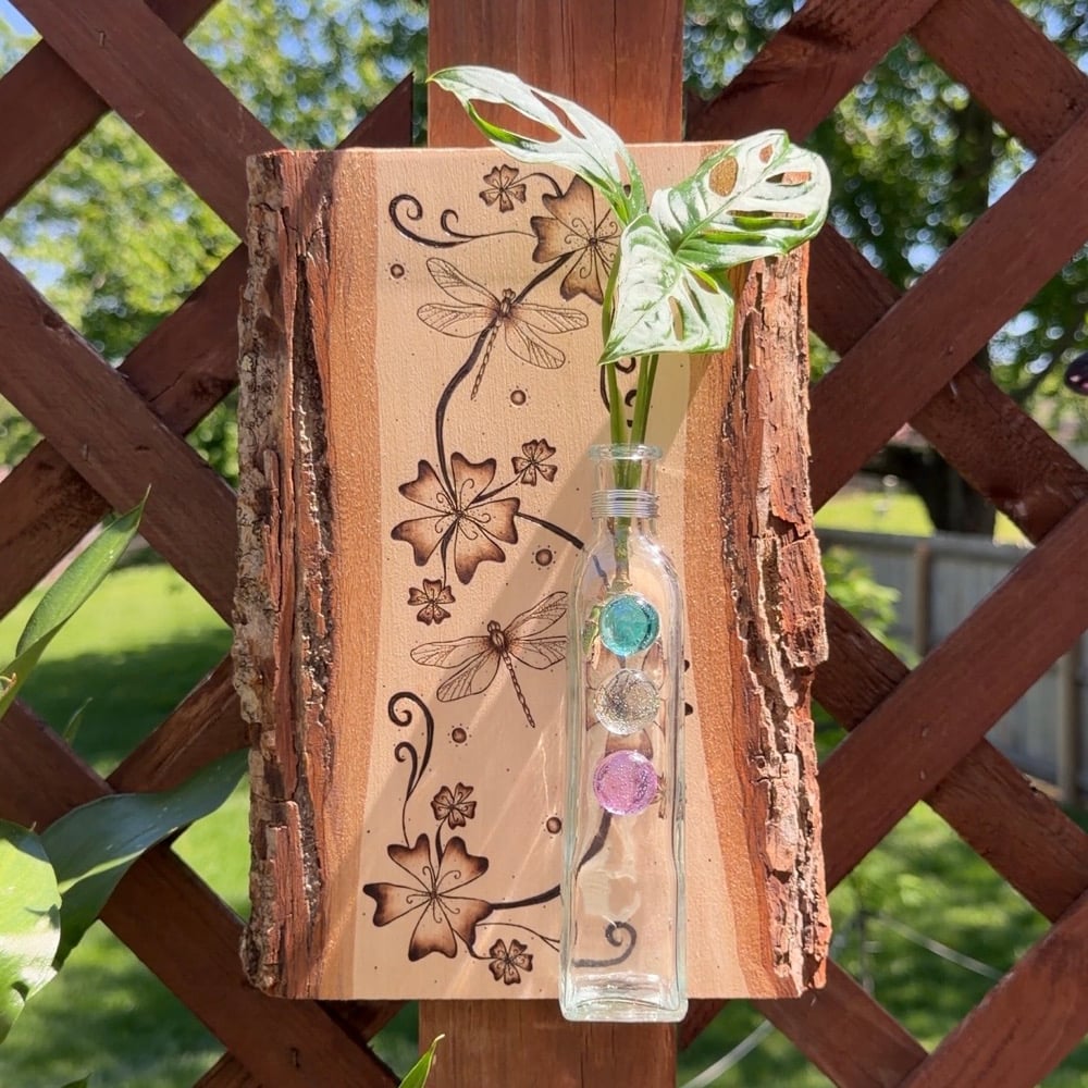 Image of dragonfly whimsy propogation station wood art 