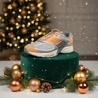 Image 1 of Mike’s Air Pegasus wave 