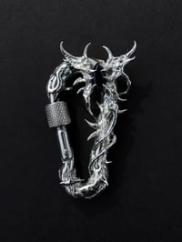 Image 1 of Hylesia - Carabiner