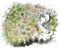 Tititea - Artwork