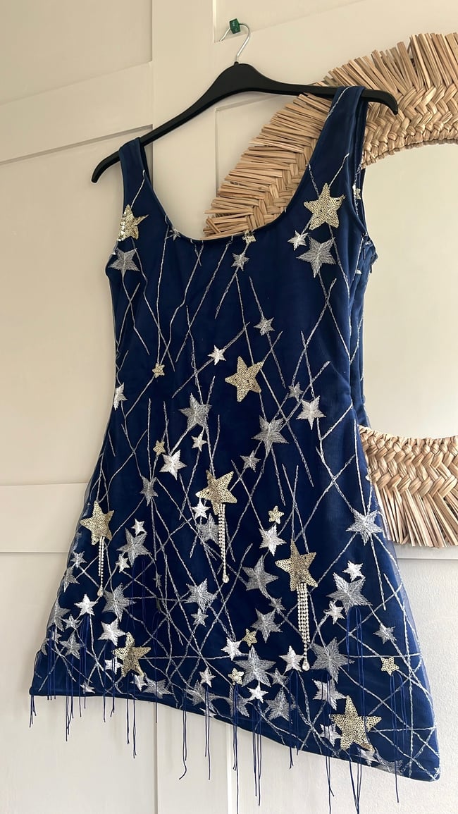 The Starry Night Dress. Star Embellished Tulle Navy Velvet Dress
