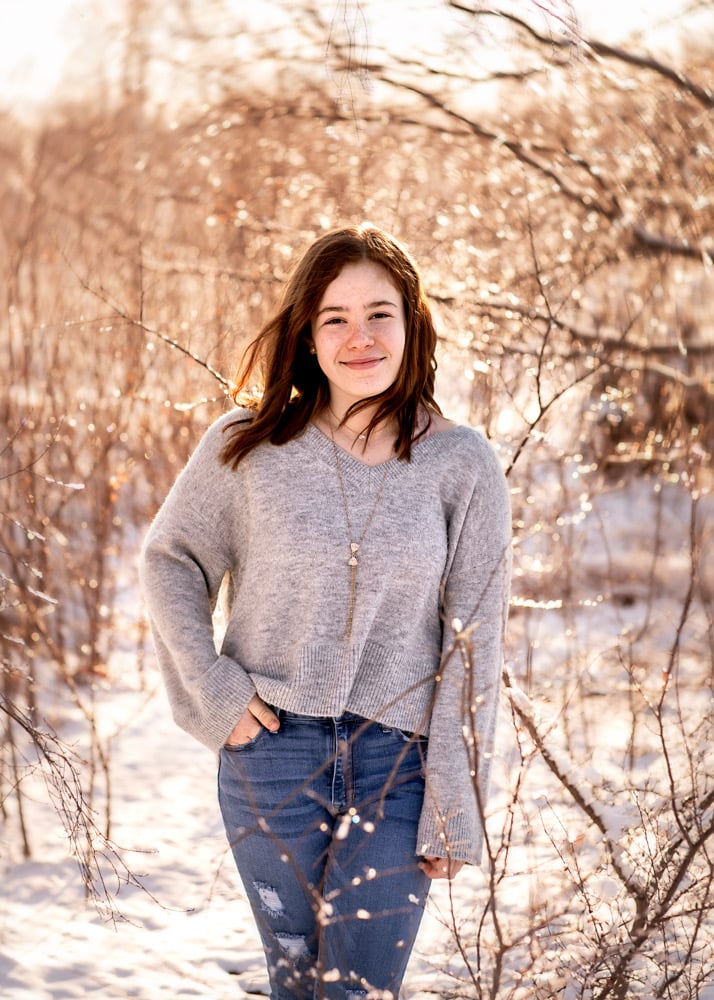 Image of Snow Day Minis