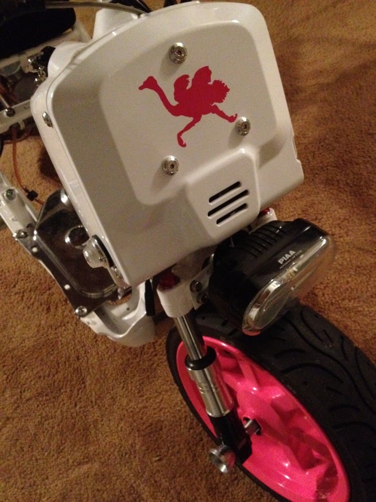 Image of Ostrich Mascot Decals