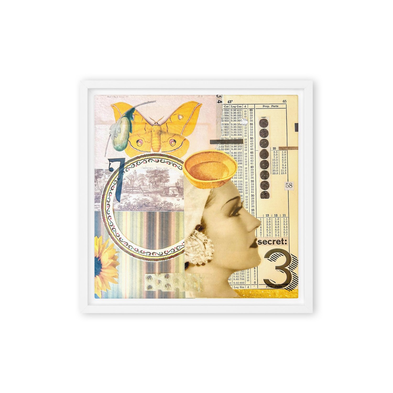 Image of FREE SHIPPING - The Secret Language of Numbers - 12x12 - Framed Canvas