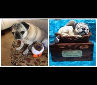 Image 4 of Custom Engraved Pug Urn Pet Portrait To Your Photos
