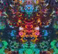 Image 5 of 2XL LS Earthy Rainbow