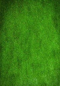 Image 1 of 5 by 7 backdrops