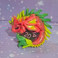 Image 1 of D20 pink and green dragon